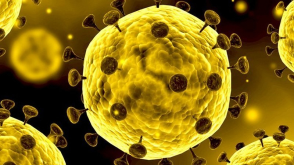 В Грузии выявлено 3 новых случая заражения коронавирусом